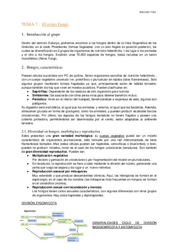 Miniatura del documento Tema-7-El-Reino-Fungi.pdf