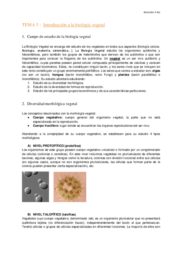 Miniatura del documento Tema-5-Introduccion-a-la-biologia-vegetal.pdf