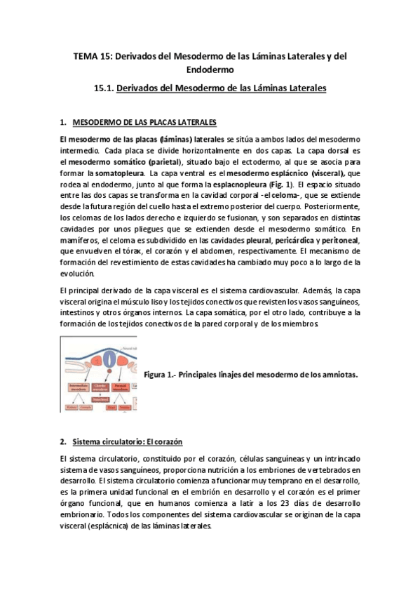 Miniatura del documento TEMA-15Texto-y-preguntas.pdf