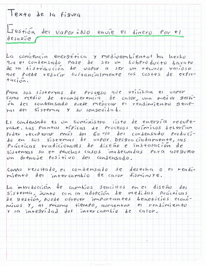 Miniatura del documento Gestion-del-vapor.pdf