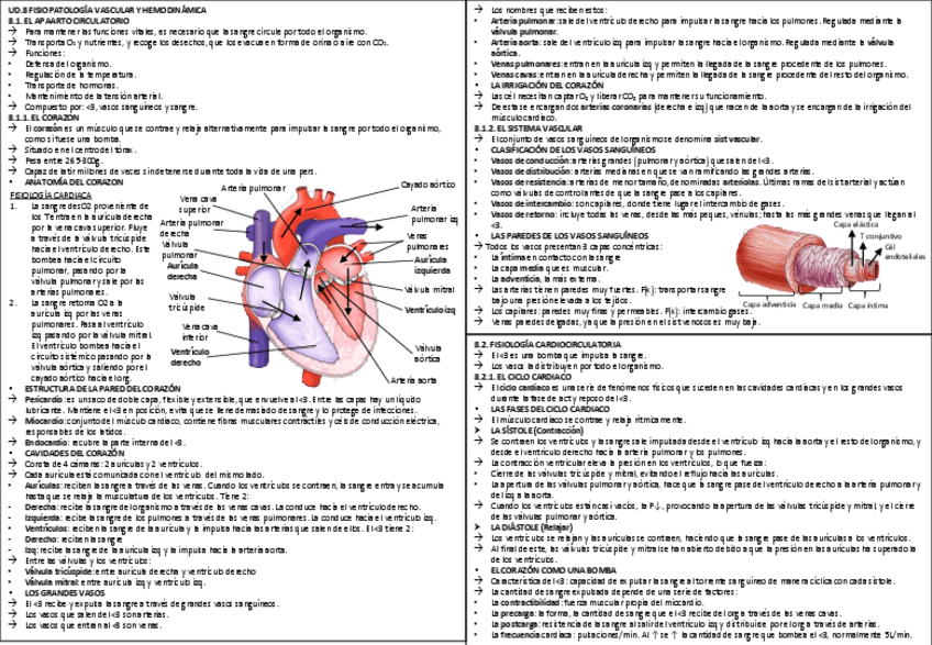 Miniatura del documento T-8-FISIOO.pdf