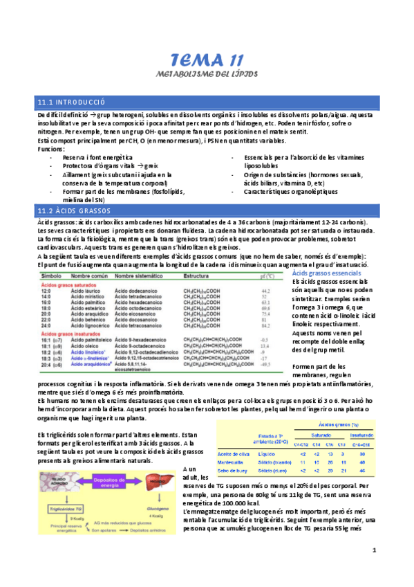 Miniatura del documento tema-11-metabolisme-dels-lipids.pdf