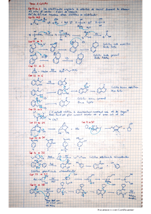 Miniatura del documento Tema-1.pdf