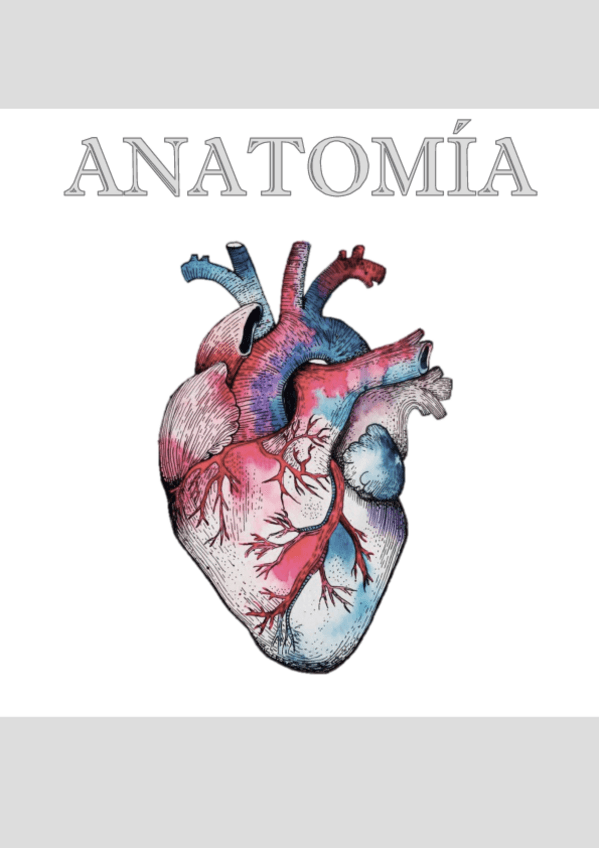 Miniatura del documento Temario completo Anatomía.pdf