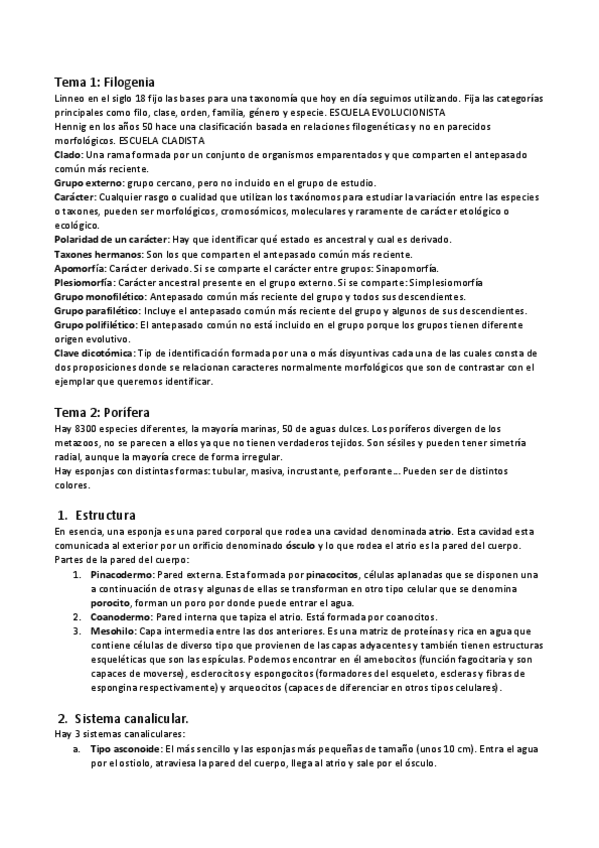 Miniatura del documento Apuntes.pdf