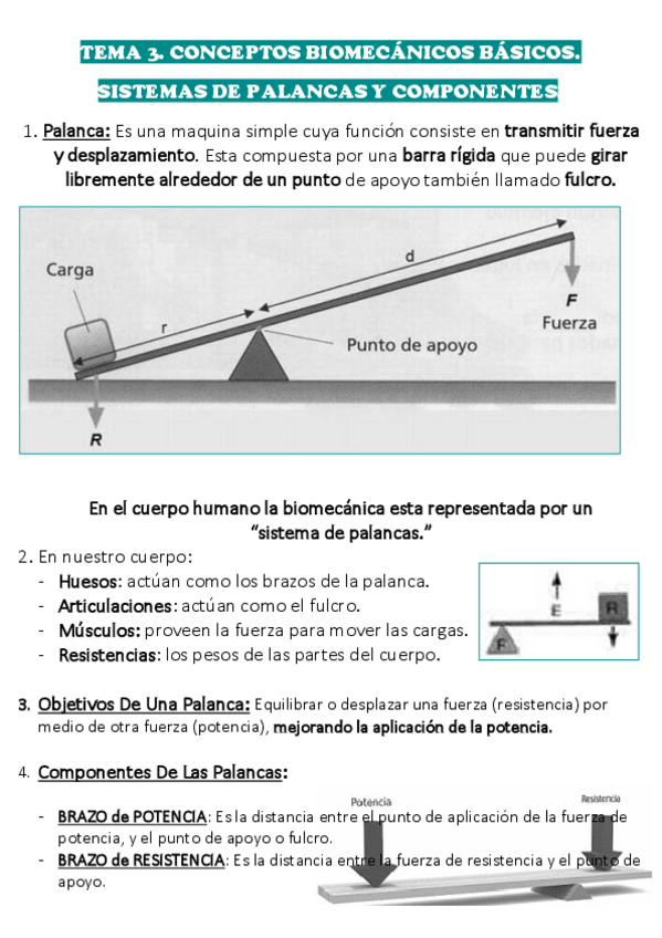 Miniatura del documento 3.pdf