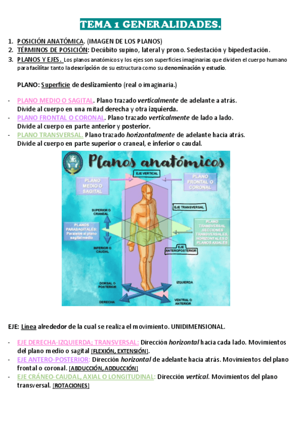 Miniatura del documento 1.pdf