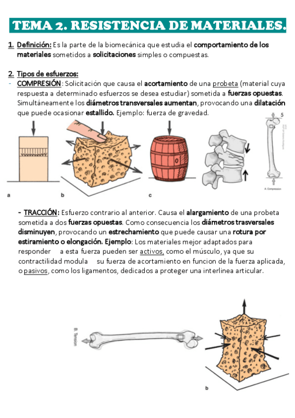 Miniatura del documento 2.pdf