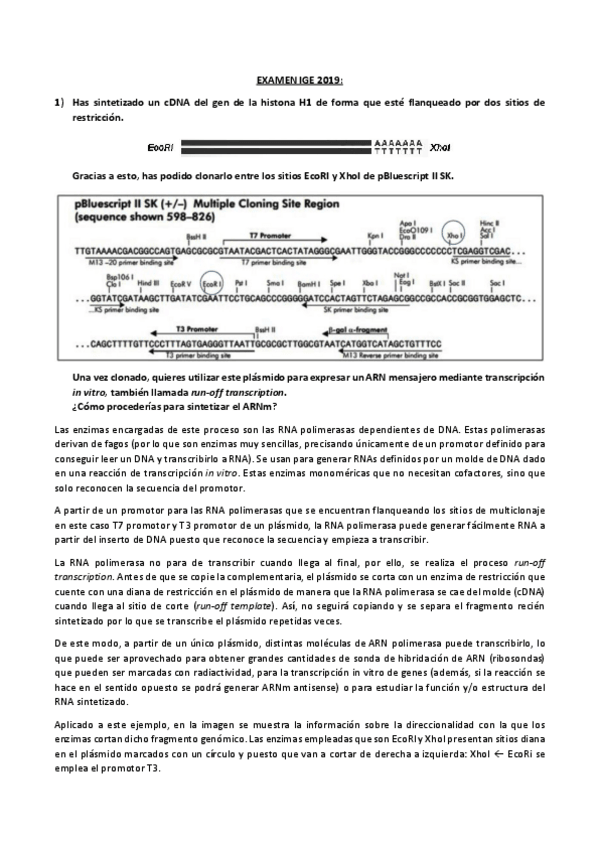 Miniatura del documento EXAMEN-IGE-2019.pdf