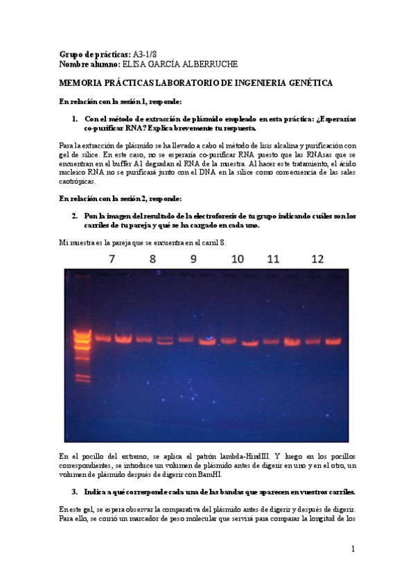 Miniatura del documento Memoria-Practicas-IGE-Elisa-Garcia.pdf