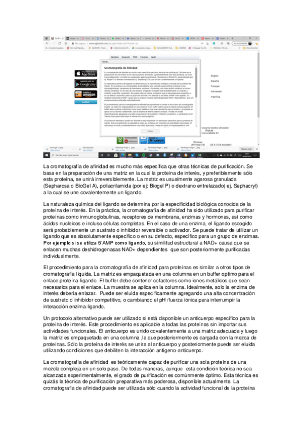 Miniatura del documento proteina-bioq.pdf
