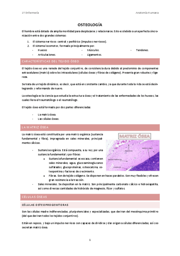 Miniatura del documento TEMA-2-MIGUEL.pdf