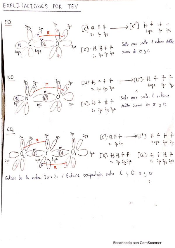 Miniatura del documento TEV-oxidos.pdf