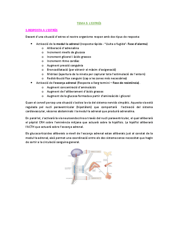 Miniatura del documento TEMA-5-ESTRES.pdf