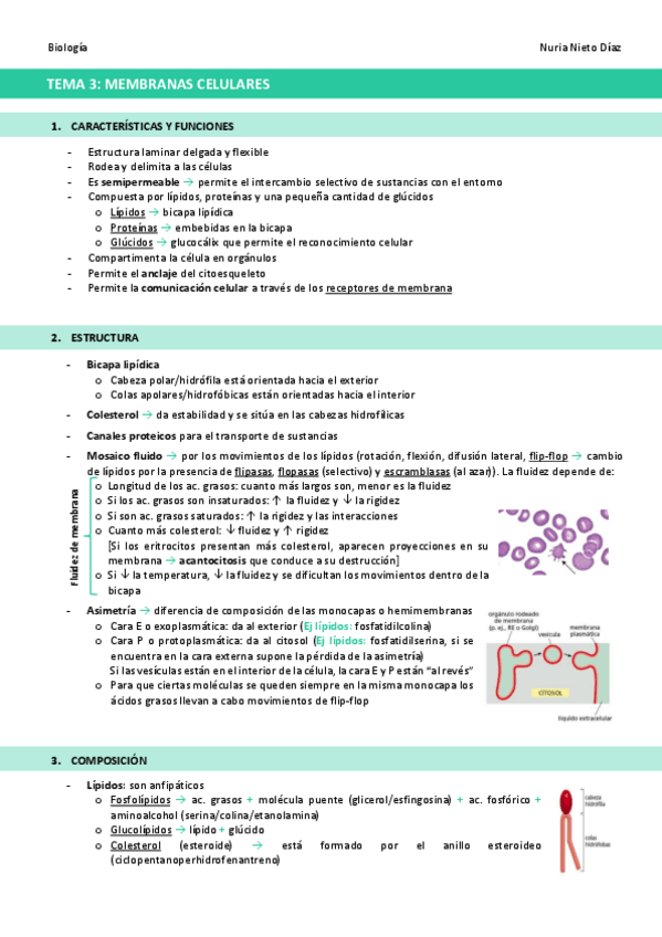 Miniatura del documento TEMA-3-Membranas-celulares.pdf