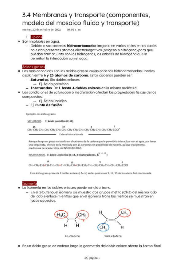 Miniatura del documento Componentes-de-la-membrana-y-transporte.pdf