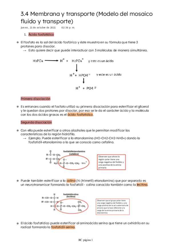 Miniatura del documento Modelo-del-mosaico-fluido-y-transporte.pdf