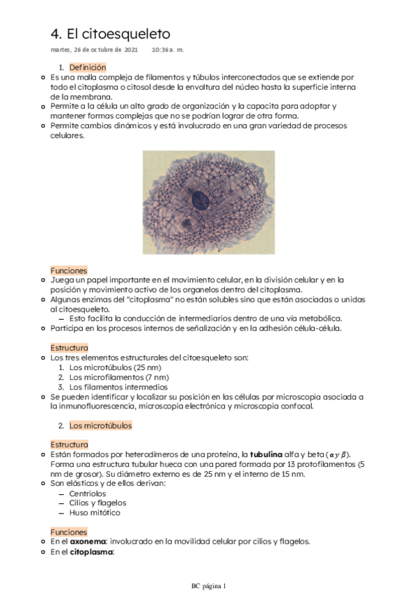 Miniatura del documento El-citoesqueleto.pdf