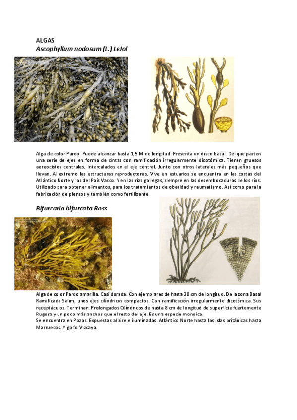 Miniatura del documento Especies.pdf