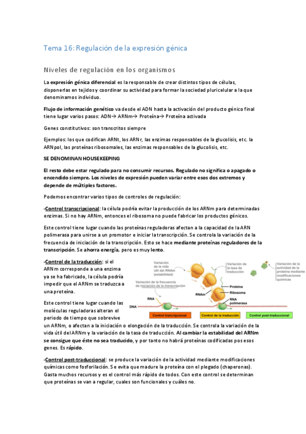 Miniatura del documento Tema-16-bcm.pdf