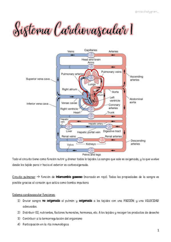 Miniatura del documento T15-Cardio-1.pdf