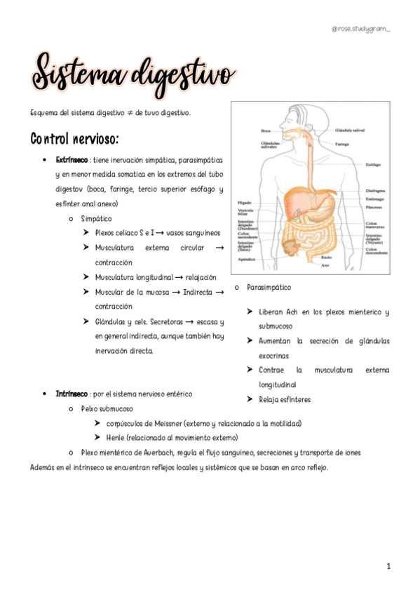 Miniatura del documento T20-Sistema-Digestivo.pdf