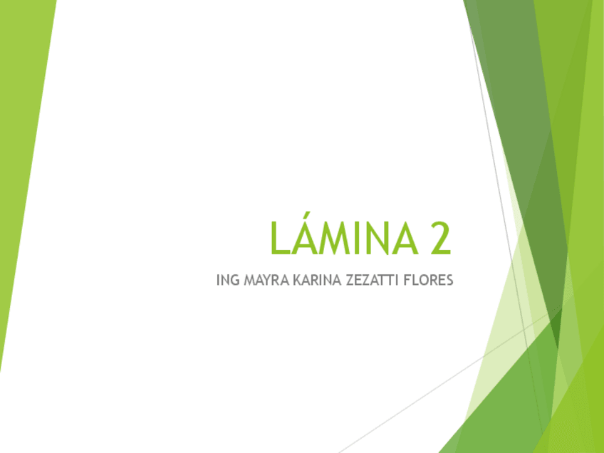 Miniatura del documento 02LAMINALINEAS-MIXTAS.pdf