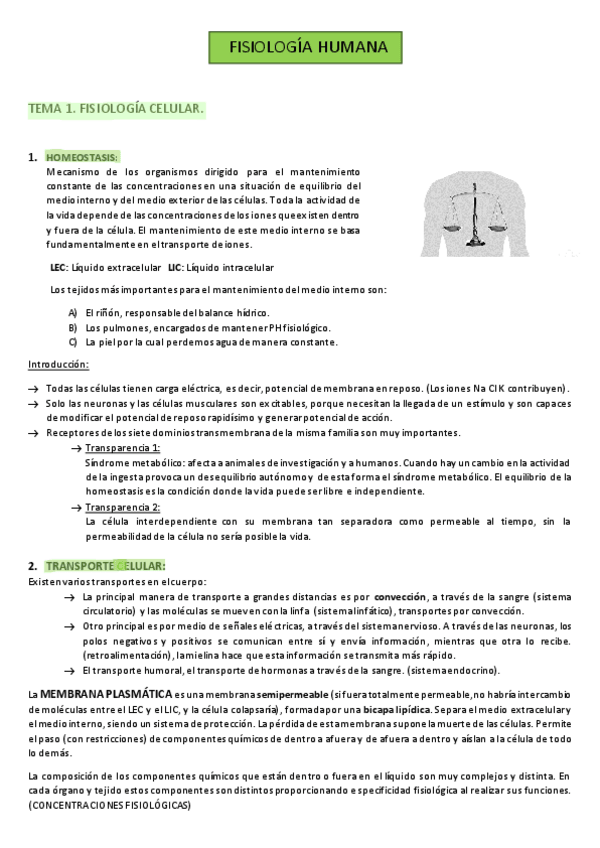 Miniatura del documento TEMA-1.pdf