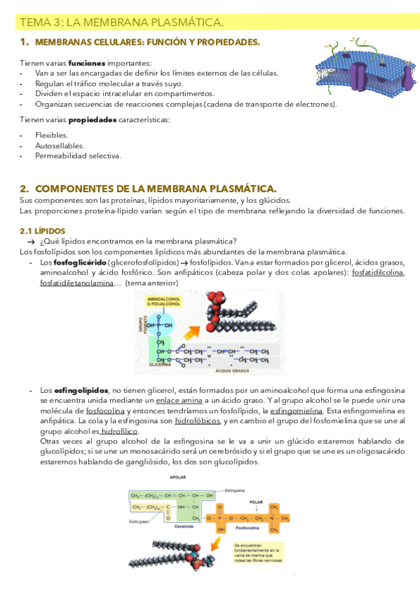 Miniatura del documento TEMA-3.pdf