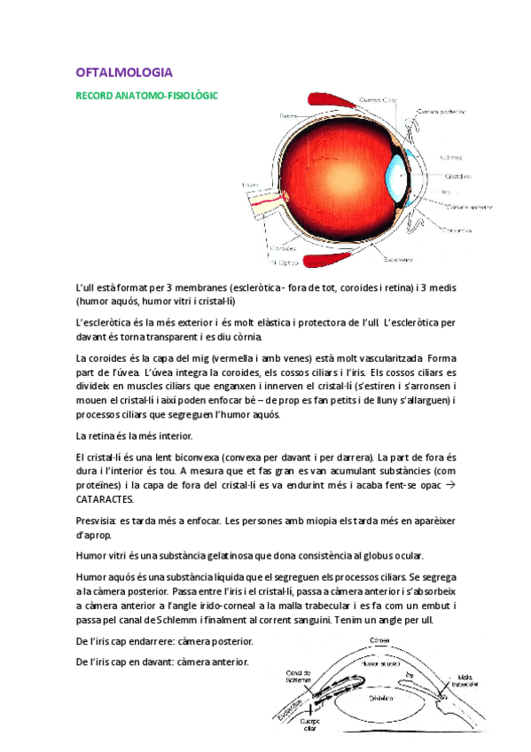 Miniatura del documento OFTALMO.pdf