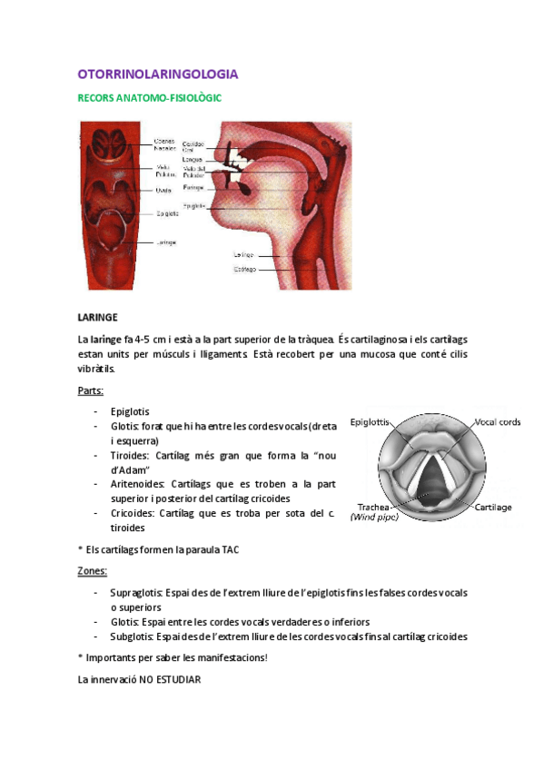 Miniatura del documento OTORRINO.pdf