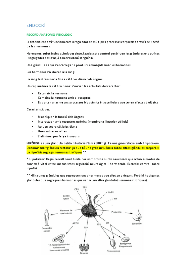 Miniatura del documento ENDOCRI.pdf