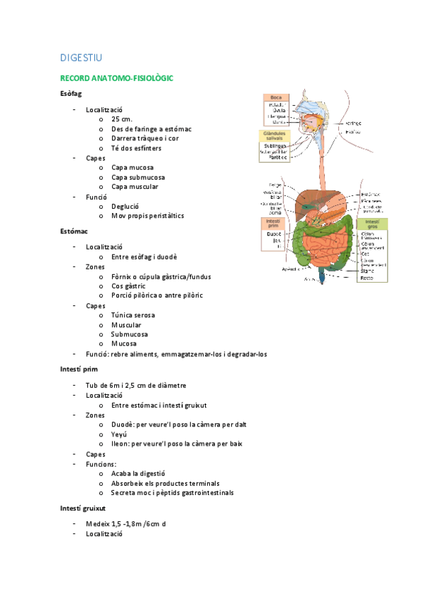 Miniatura del documento DIGESTIU.pdf