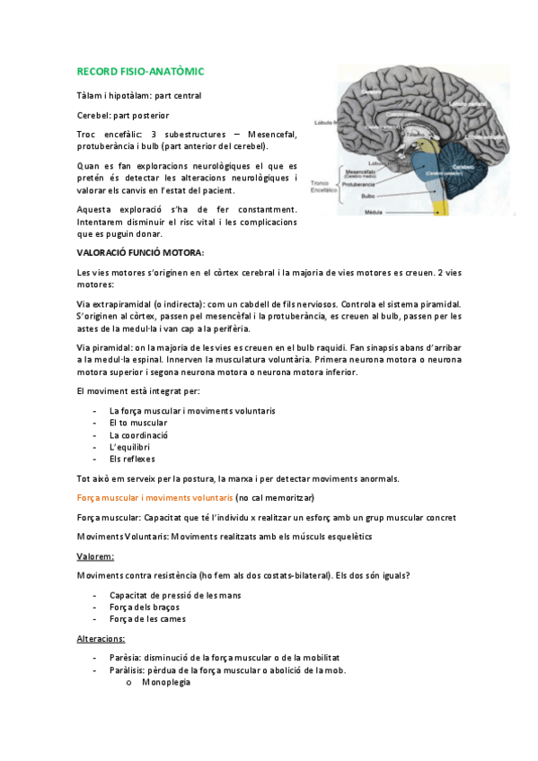 Miniatura del documento NEURO.pdf
