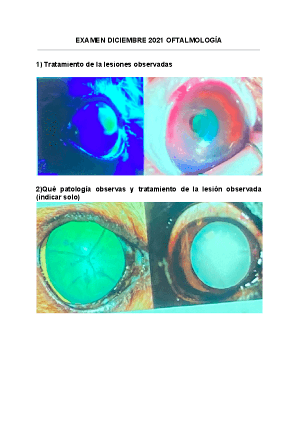 Miniatura del documento EXAMEN-OFTALMOLOGIA-DICIEMBRE-2021.pdf