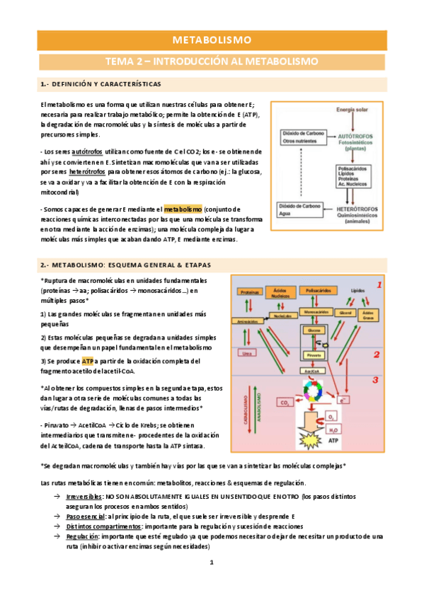 Miniatura del documento Metabolismo-bloques-I-III-grupo-2.pdf