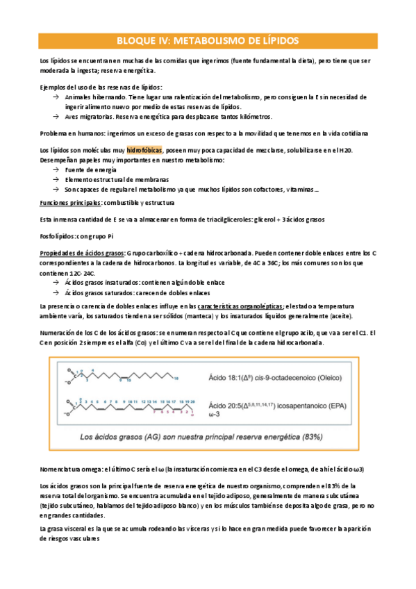 Miniatura del documento Metabolismo-bloque-IV-grupo-2.pdf