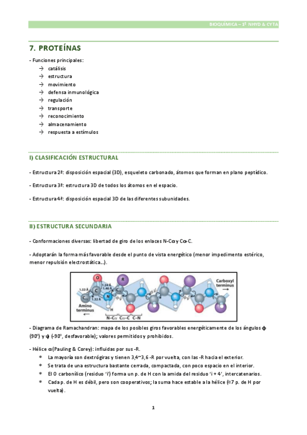 Miniatura del documento Bioquimica-Tema-7.pdf