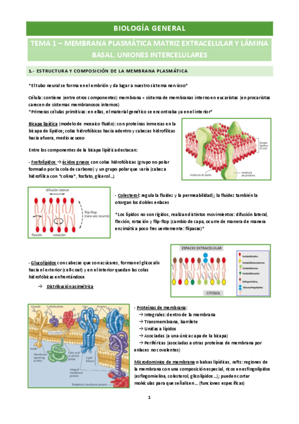 Miniatura del documento Biologia-General-Citologia.pdf