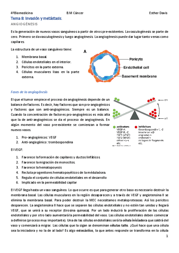 Miniatura del documento Tema-8-Invasion-y-metastasis.pdf