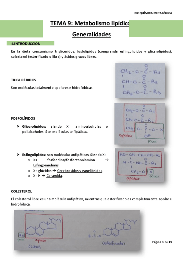 Miniatura del documento TEMA-9.pdf
