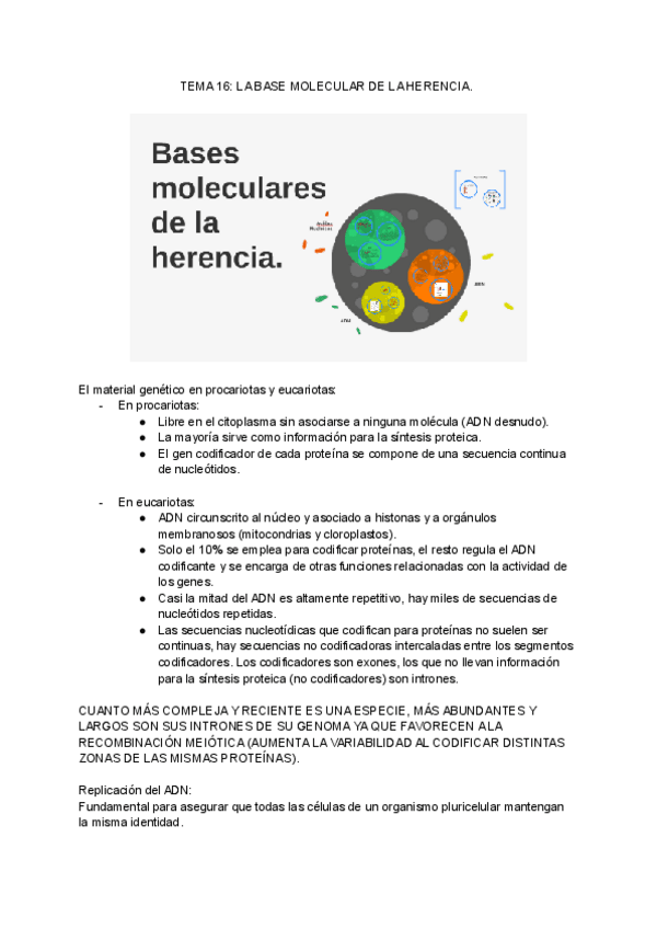 Miniatura del documento Apuntes-Biologia-3er-Trimestre.pdf