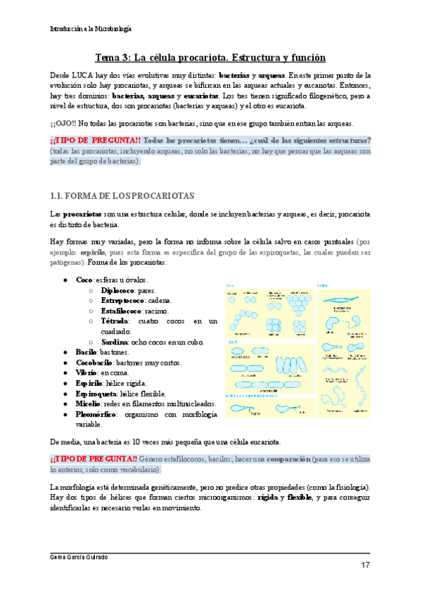 Miniatura del documento TEMA-3-CELULA-PROCARIOTA-INTRODUCCION-A-LA-MICROBIOLOGIA.pdf