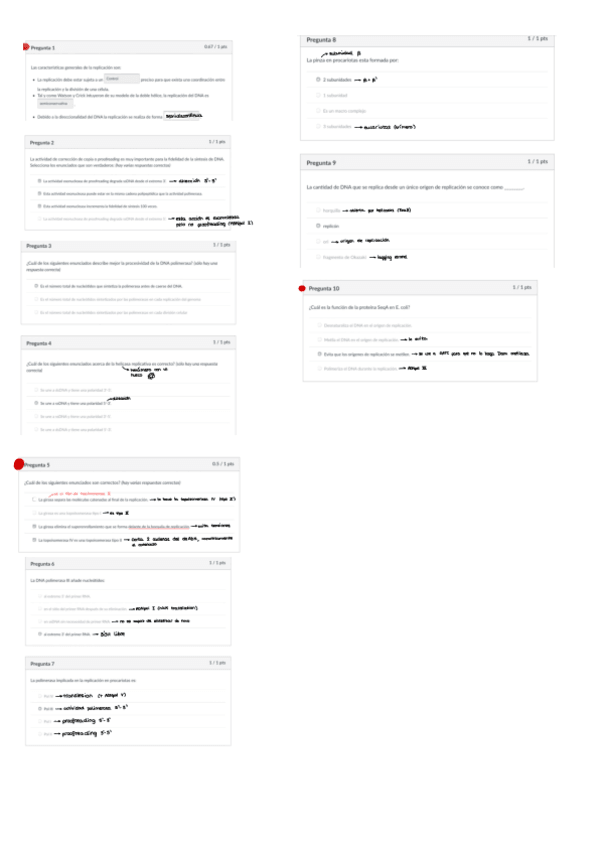 Miniatura del documento Cuestionarios-Genetica-.pdf