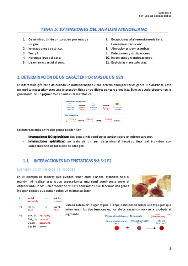 Miniatura del documento GN-Tema-5.pdf