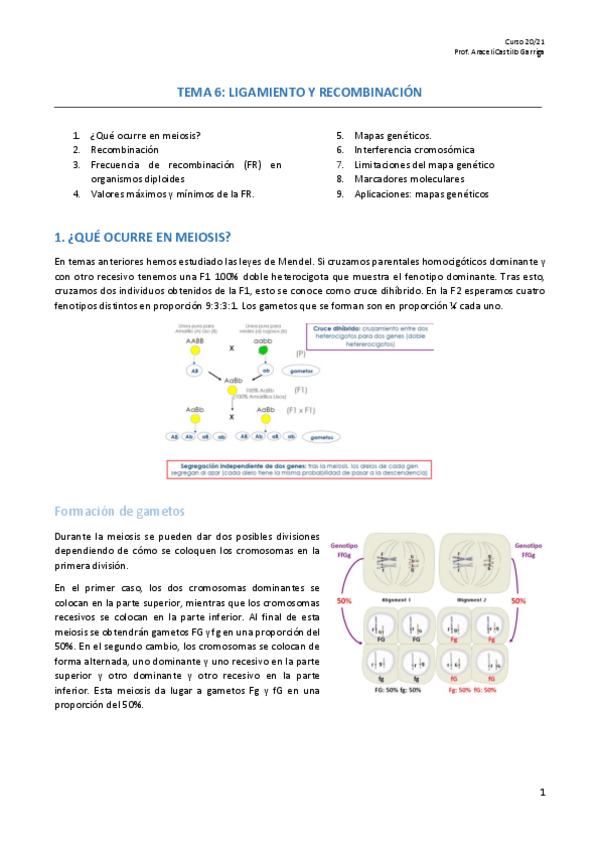 Miniatura del documento GN-Tema-6.pdf