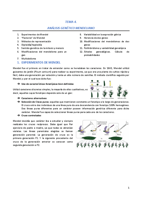 Miniatura del documento GN-Tema-4.pdf