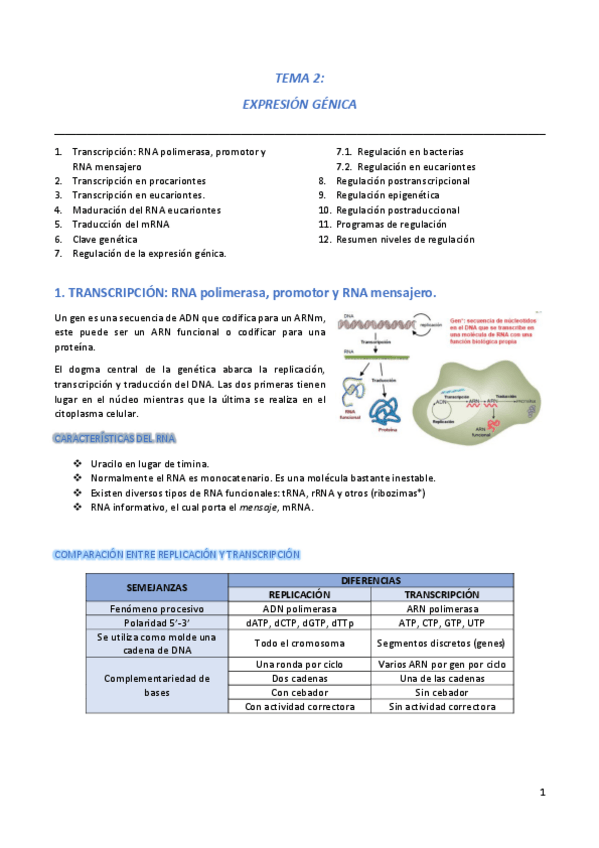Miniatura del documento GN-Tema-2.pdf
