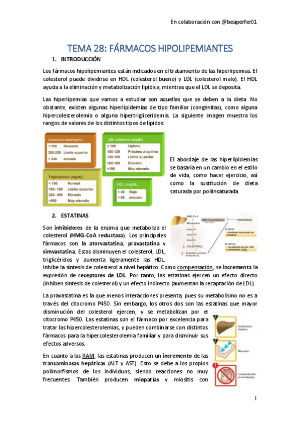 Miniatura del documento TEMA-28.pdf