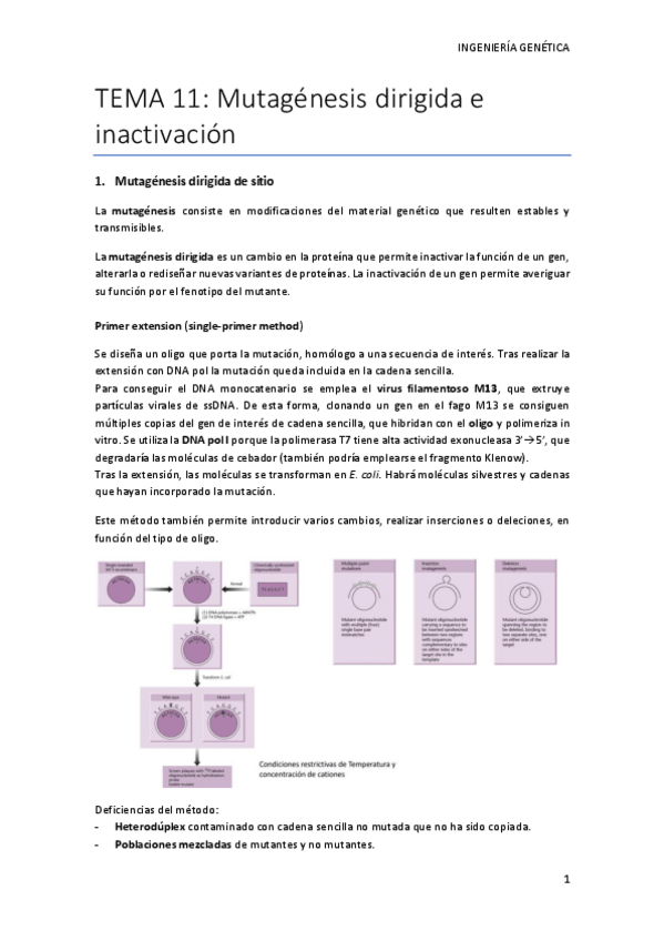 Miniatura del documento TEMA-11.pdf